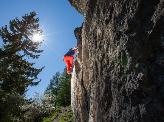 Consulenza e formazione