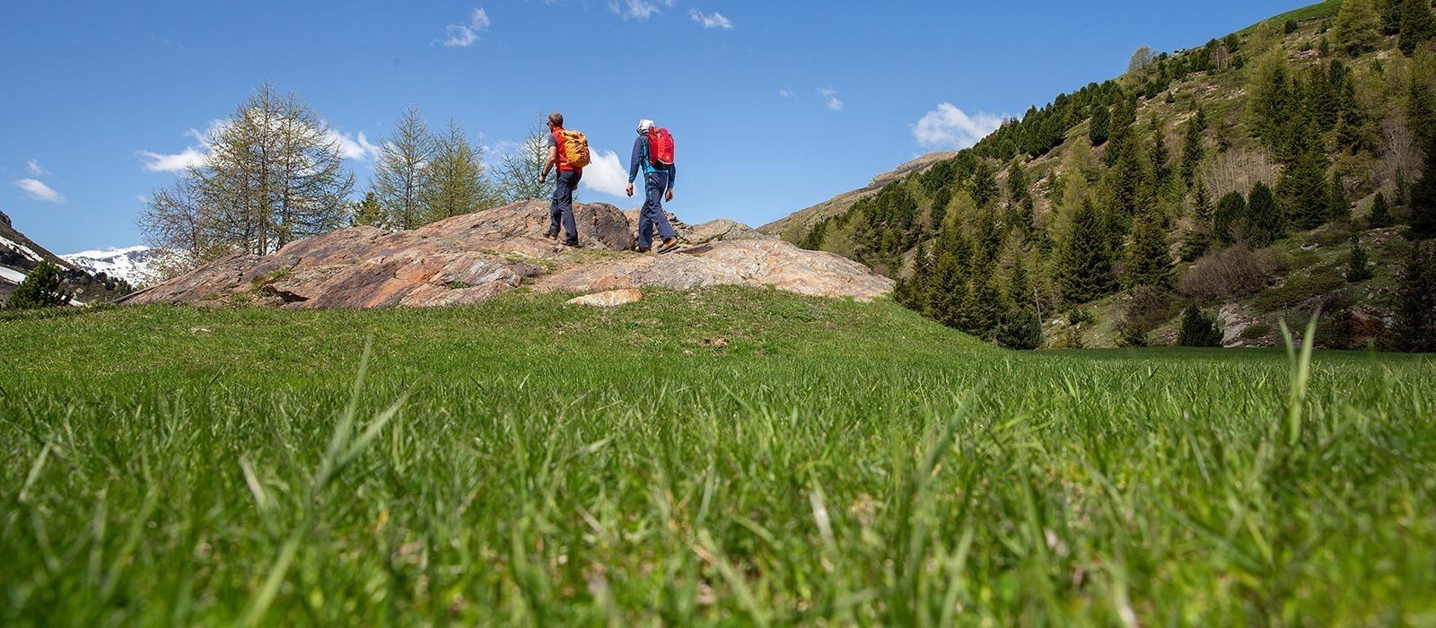 Accompagnamento stagione estiva